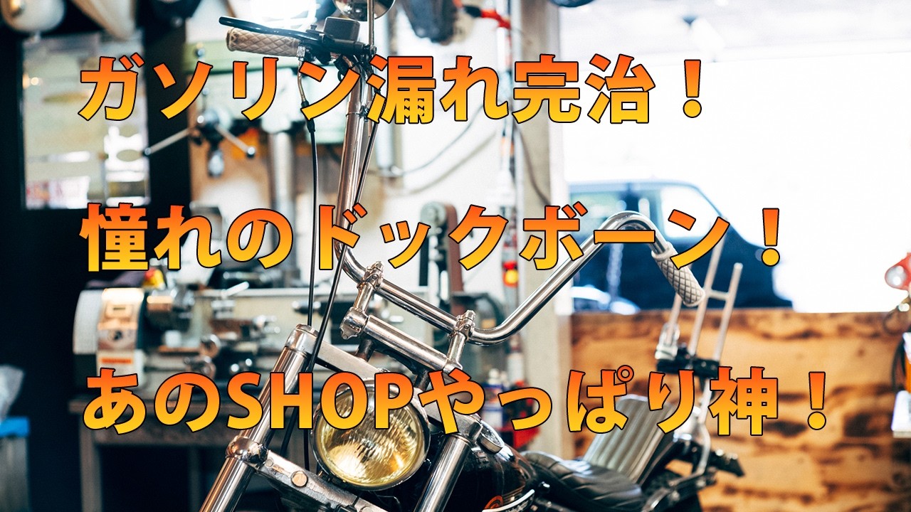 [ハーレー]ガソリンの漏れ修理したらカスタムもしてた[ショベル][motovlog]