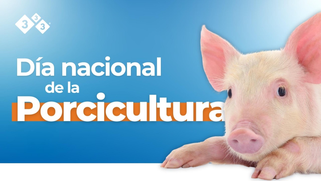 Día de la Porcicultura 2026