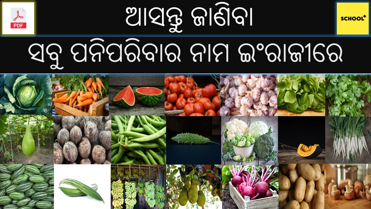 All Vegetable Name Odia To English With Pdf. ସବୁ ପନିପରିବାର ନାମ ଓଡ଼ିଆରୁ ଇଂରାଜୀରେ  With pdf. VEGETABLE
