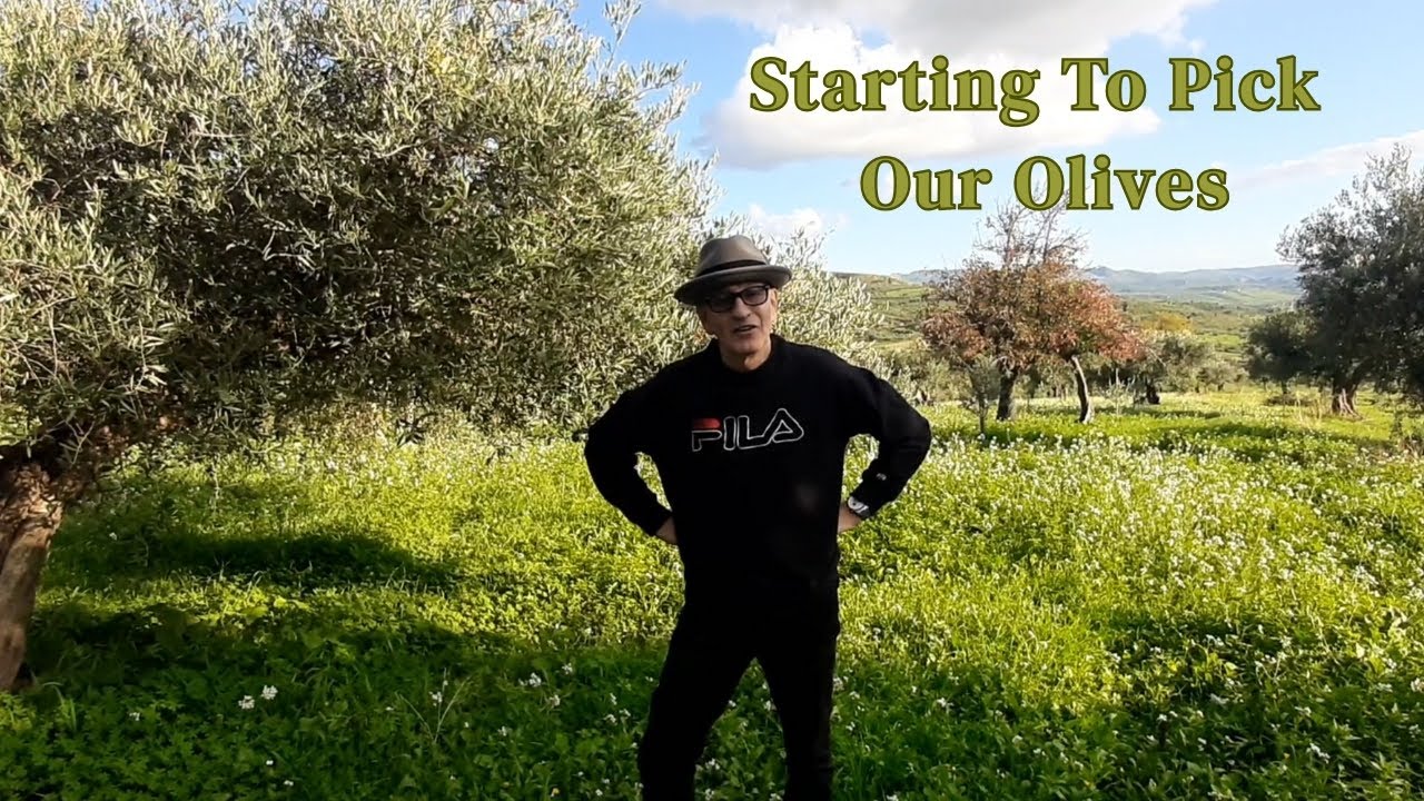 Living the Dream: Making Our Own Sicilian Olive Oil for the First Time - Ep 6
