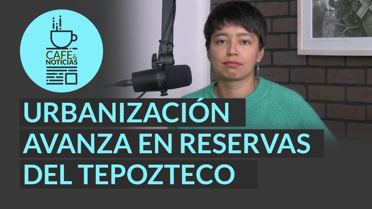 #LaCasaEnLlamas | La urbanización avanza en reservas del cerro del Tepozteco, en Morelos