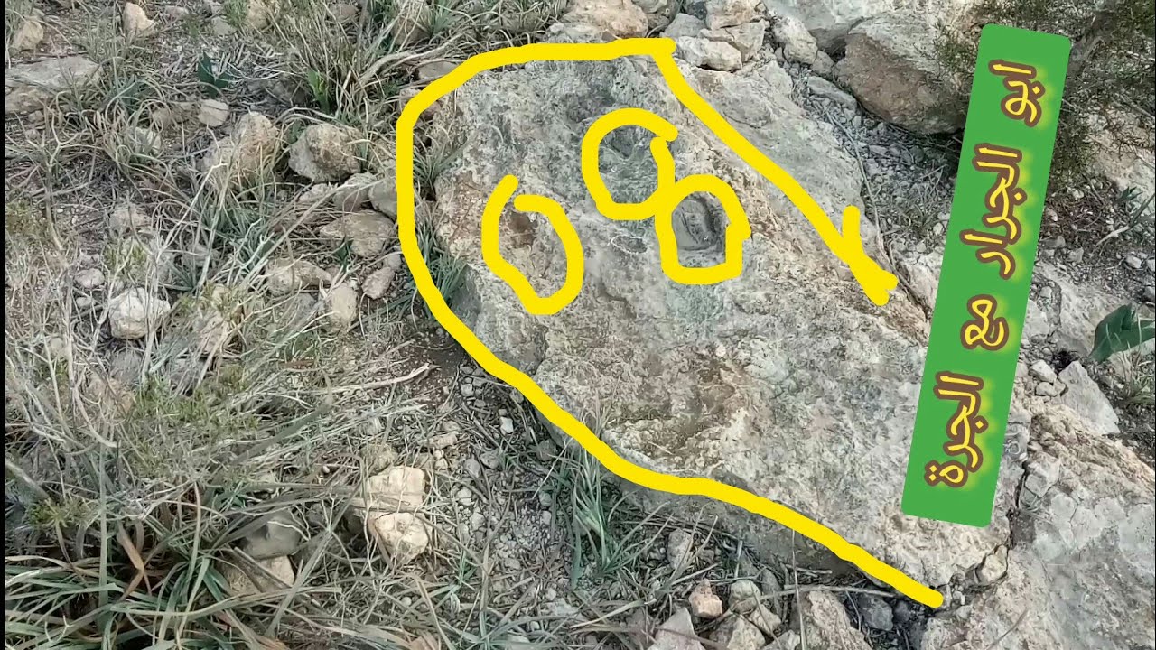 تحليل خرافي من استاذ ابو الجرار