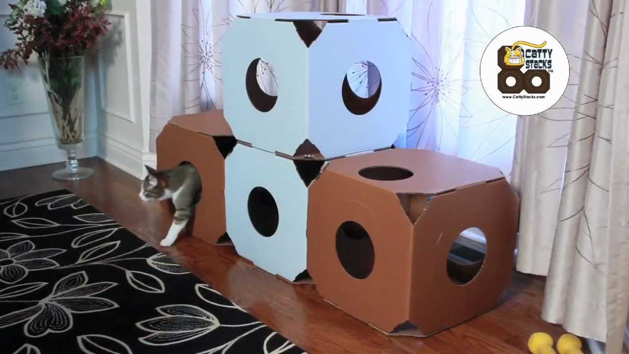 Catty Stacks - Eco-friendly, durable, modular, designer cat furniture