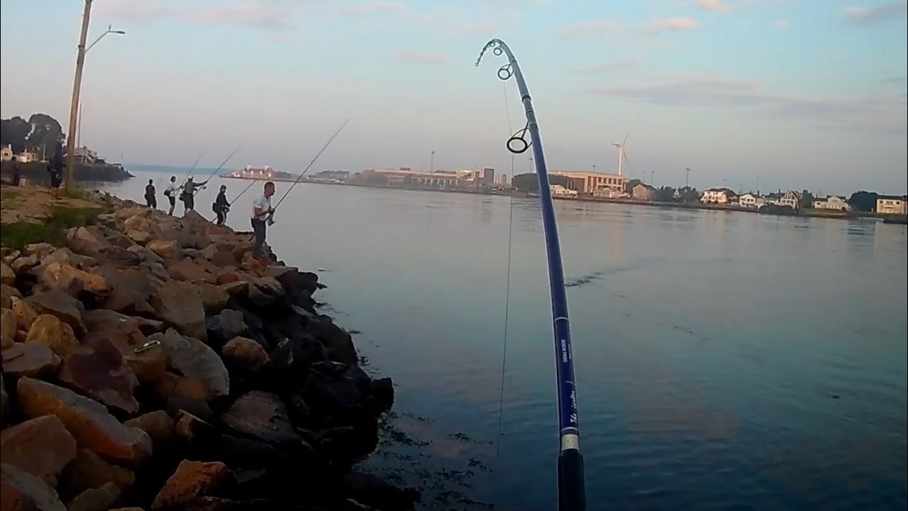Crazy fishing day on cape cod canal