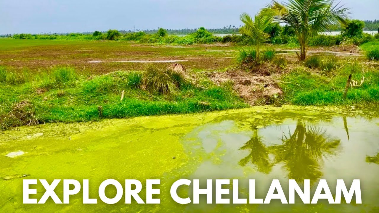 Explore Chellanam | Chellanam Beach | Save Chellanam