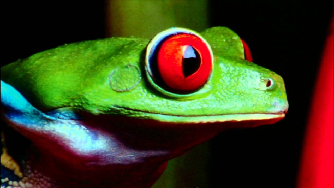 CCM Graphic Solutions Digital Print [HD]