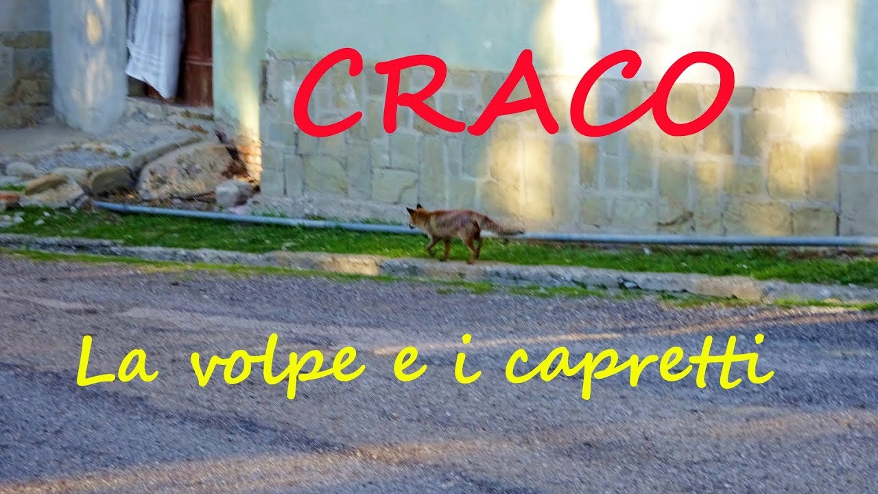 CRACO - LA VOLPE E I CAPRETTI