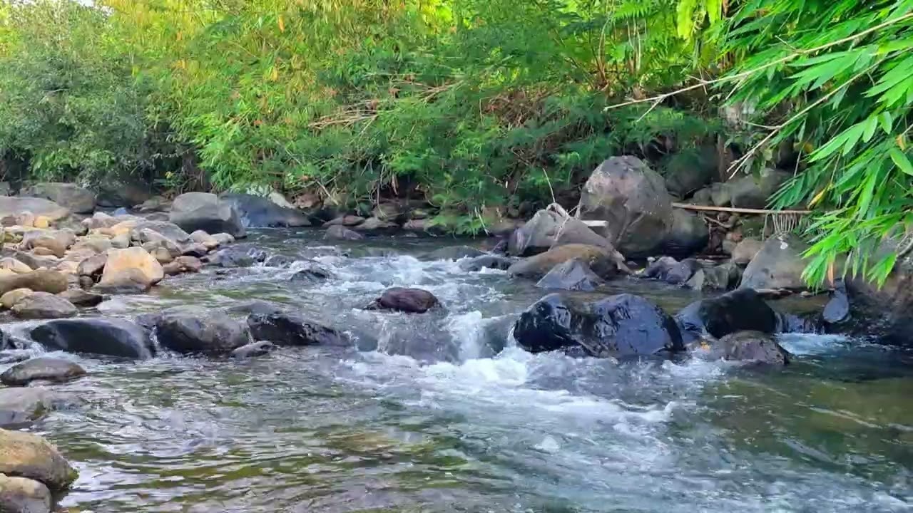 Calming Stream Ambience For Focus &bull; 1 Hour Natural Water Sounds for Work & Study 4K