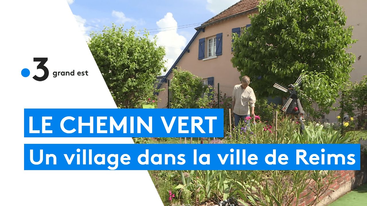 Reims : le quartier du Chemin Vert, une cité-jardin chargée d'Histoire