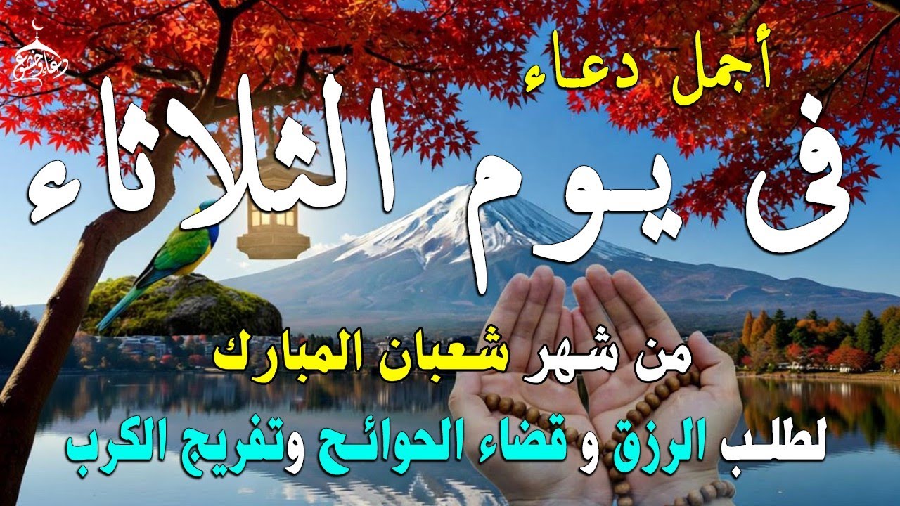 دعاء فى يوم الأثنين المستجاب دعاء في يوم 21 من شهر شعبان للرزق والشفاء العاجل وقضاء الحوائج 🤲(4k)