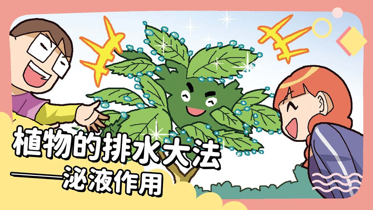 【植物的排水大法──泌液作用】20251216 Unit 7-1 完整課程講解