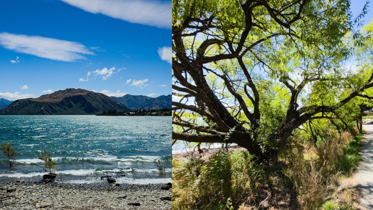 Walking (partially) around lake Wanaka and almost visiting the Blue Pools [Wanaka, New Zealand]