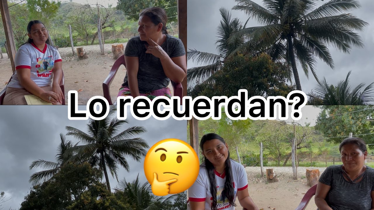 🟣El canto de estos pajaritos nos hicieron recordar a alguien🥹