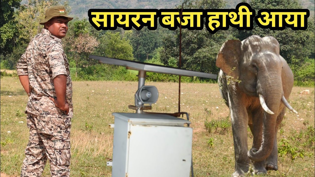 हाथी सजग सायरन 