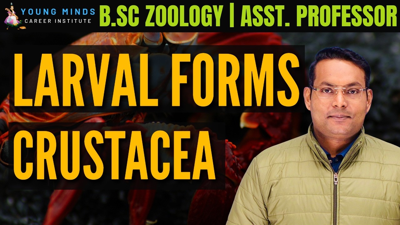 Larval Forms of Crustacea | B.Sc Zoology