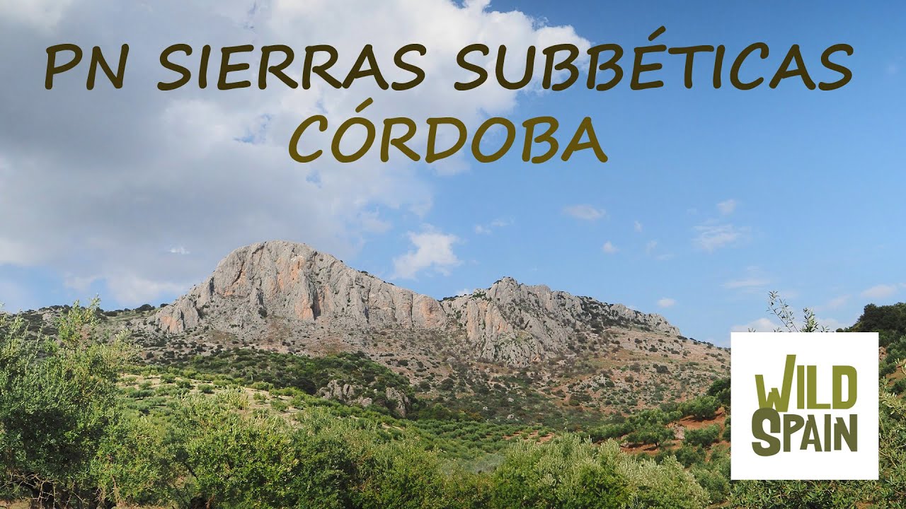 Wild Spain - Capítulo 123 - Parque Natural Sierras Subbéticas, Córdoba.