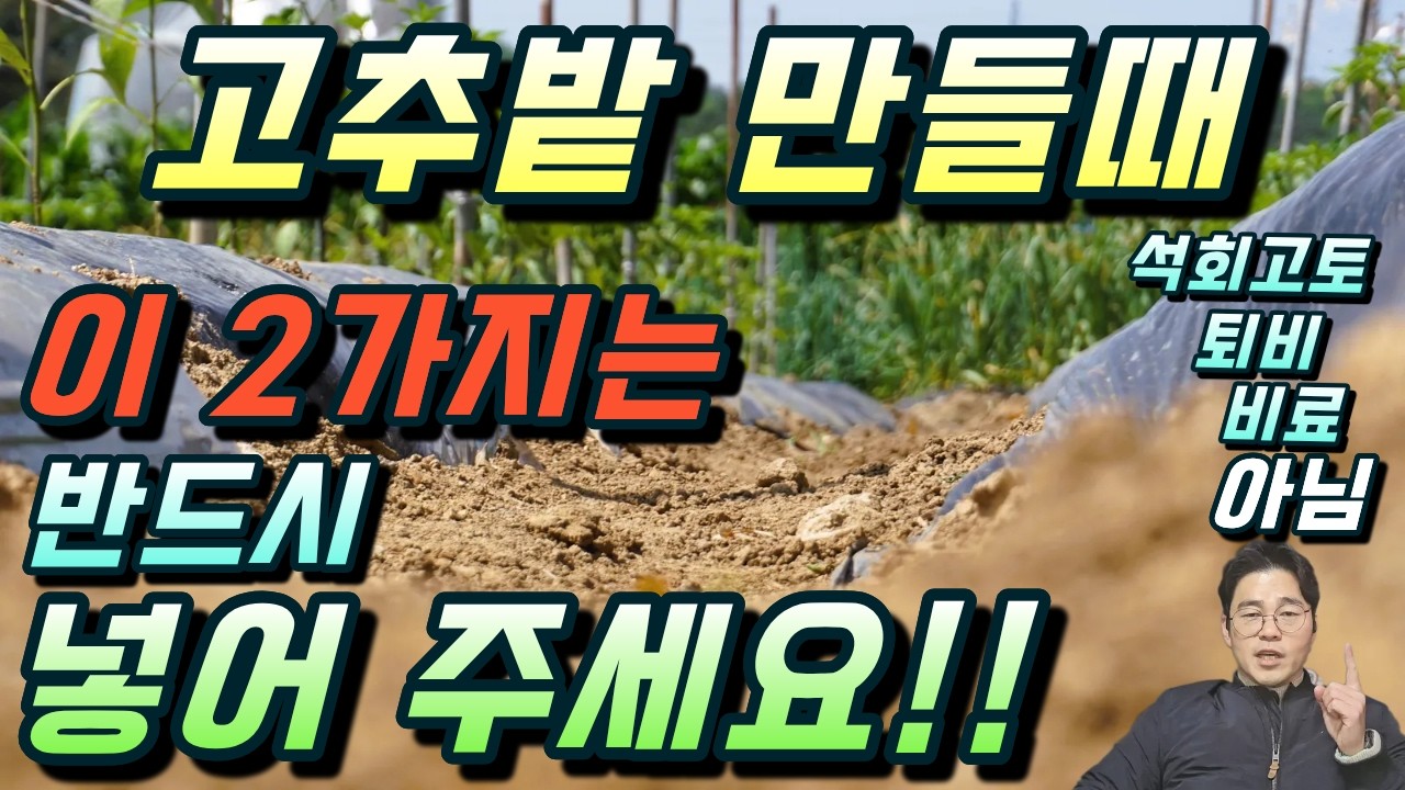 20년된 농약사에서 알려주는 고추밭 만들때 꼭 넣어야 하는 2가지.