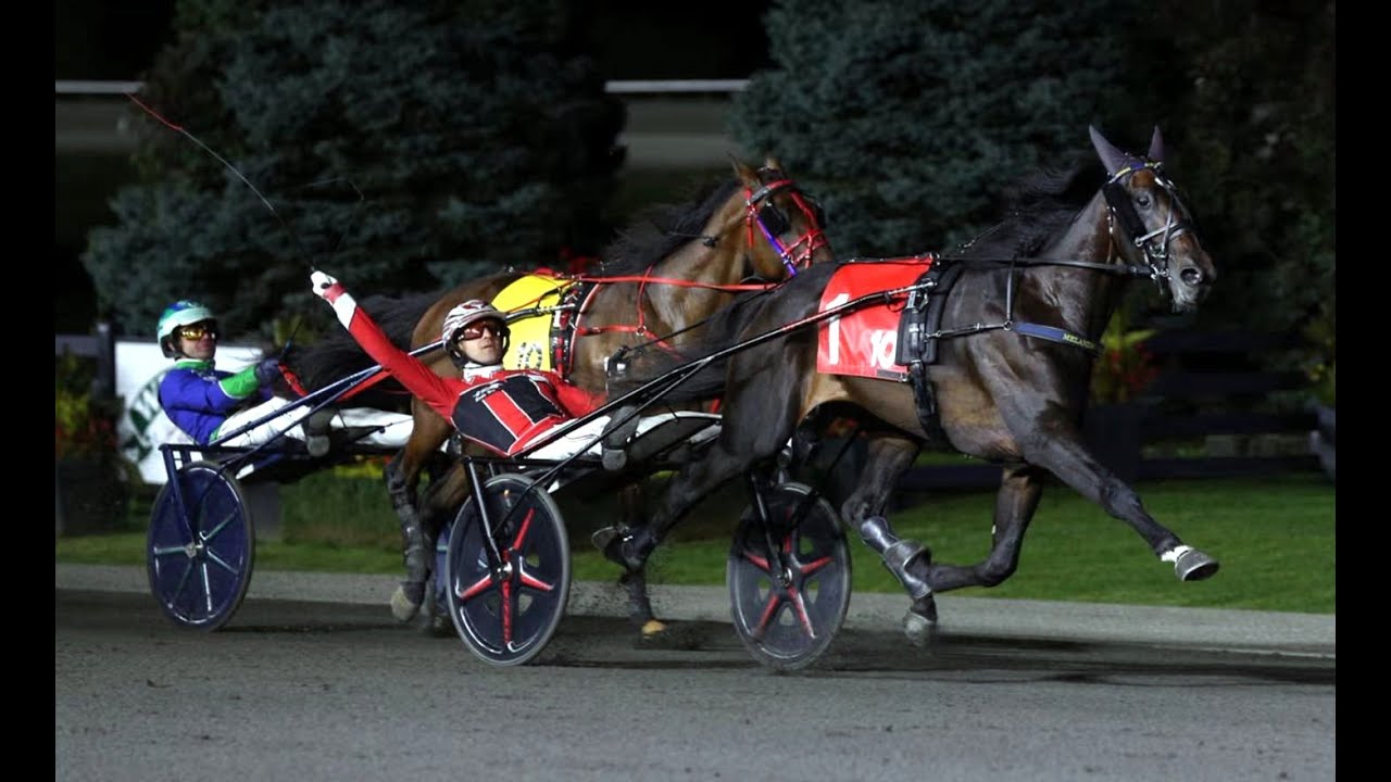 Apex & Dexter Dunn won Mohawk Million 2YO Open (C$1,000,000) in 1.51,4 (1.09,5) at Mohawk Park.