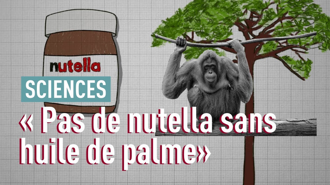 L'huile de palme: c'est quoi le problème?