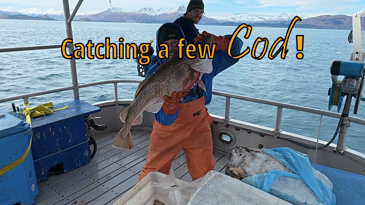Hunting Alaska Cod: When Fishing Gets Tough. | Alaska Commercial Fishing