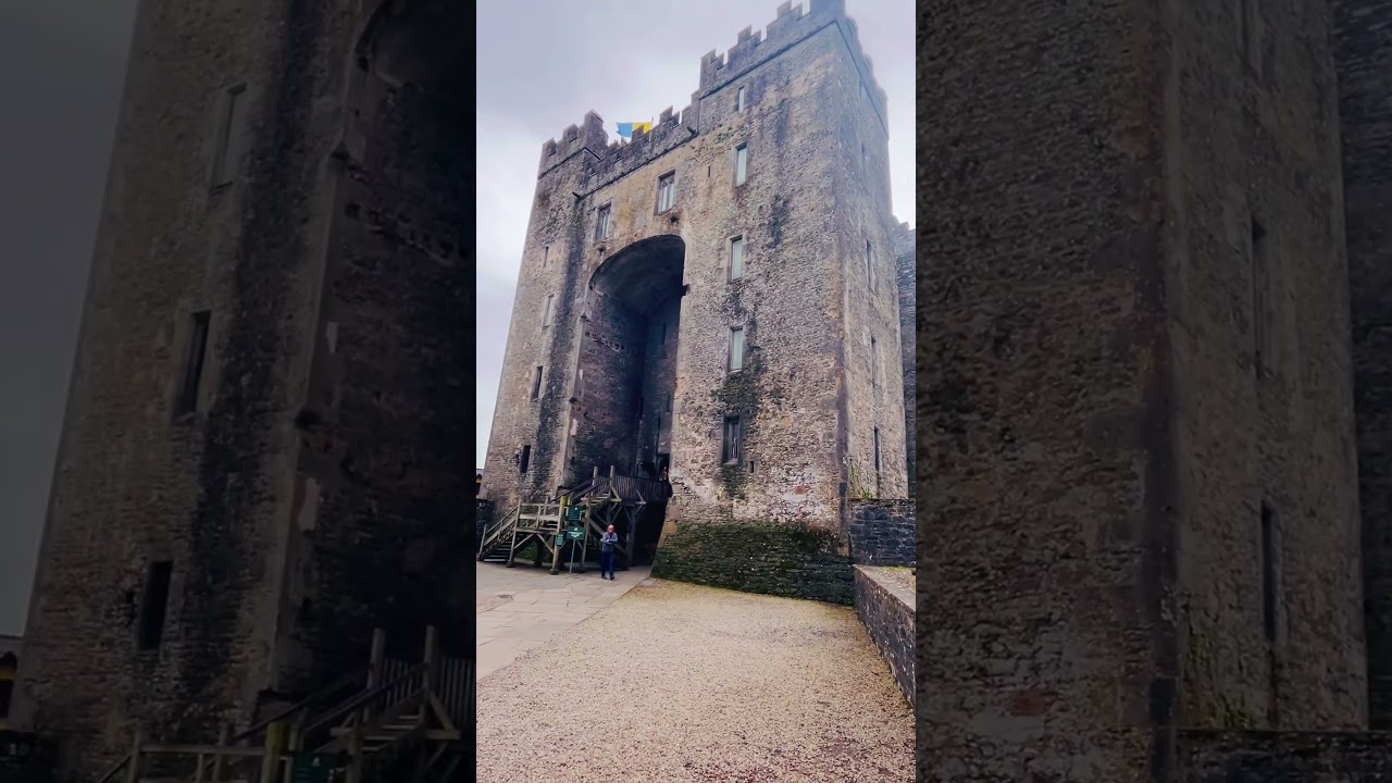 A true time capsule | Bunratty Castle 🏰 #castle #ireland #history