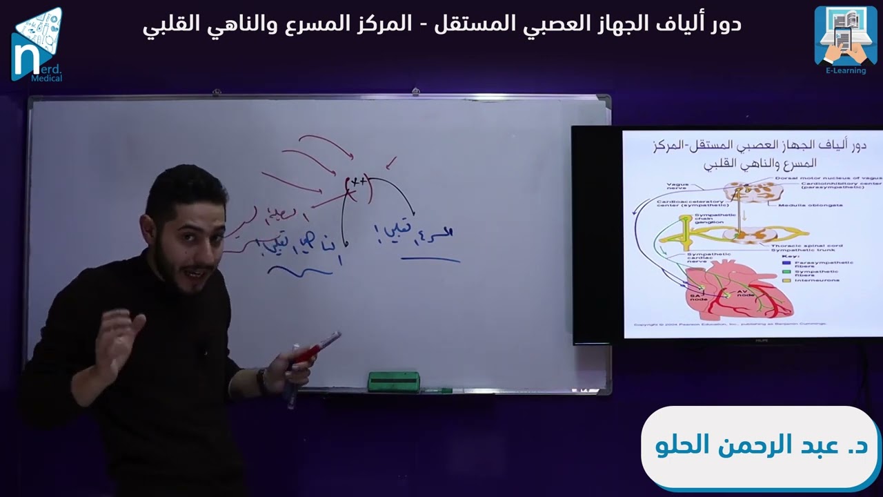الفيزيولوجيا القلبيةـ القلب (5) دور ألياف الجهاز العصبي المستقل المركز المسرع والناهي القلبي