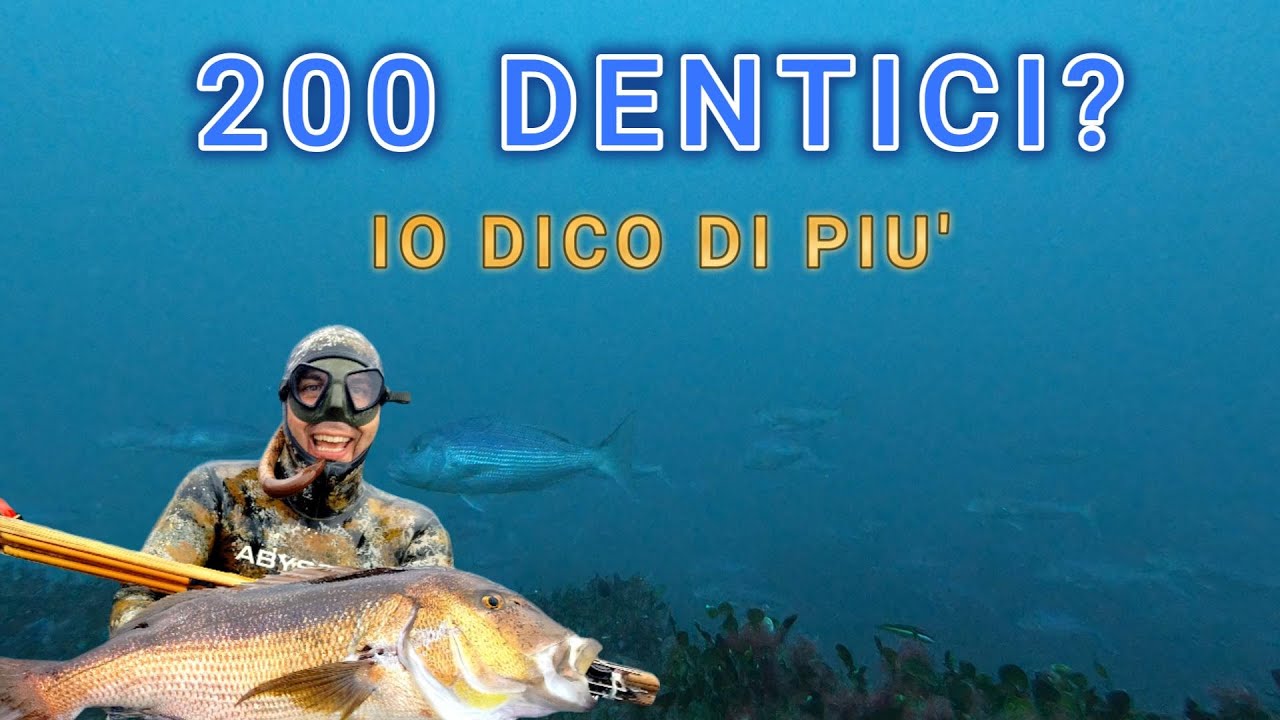 PESCA SUB: 200 dentici? Io dico di più.