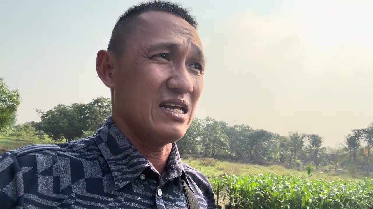 Đi thăm Vườn Hoa Vạn Thọ tại Bình Chánh!