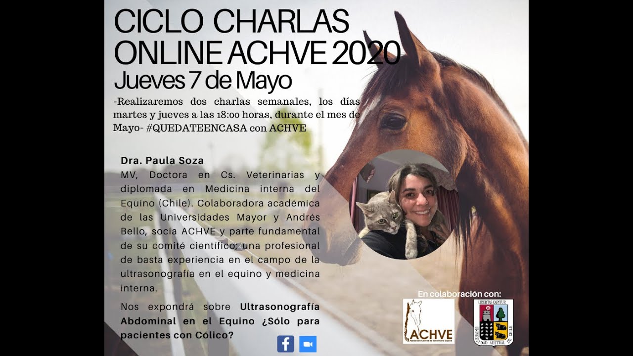 Ultrasonografía Abdominal en el Equino ¿Sólo para pacientes con Cólico?
