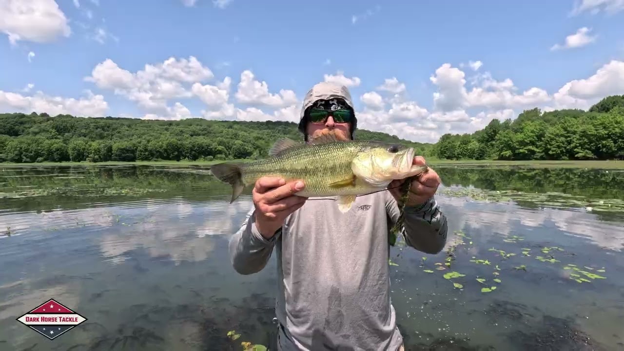 💥Bass Fishing Field Test of The Snatch by Jawtec💥