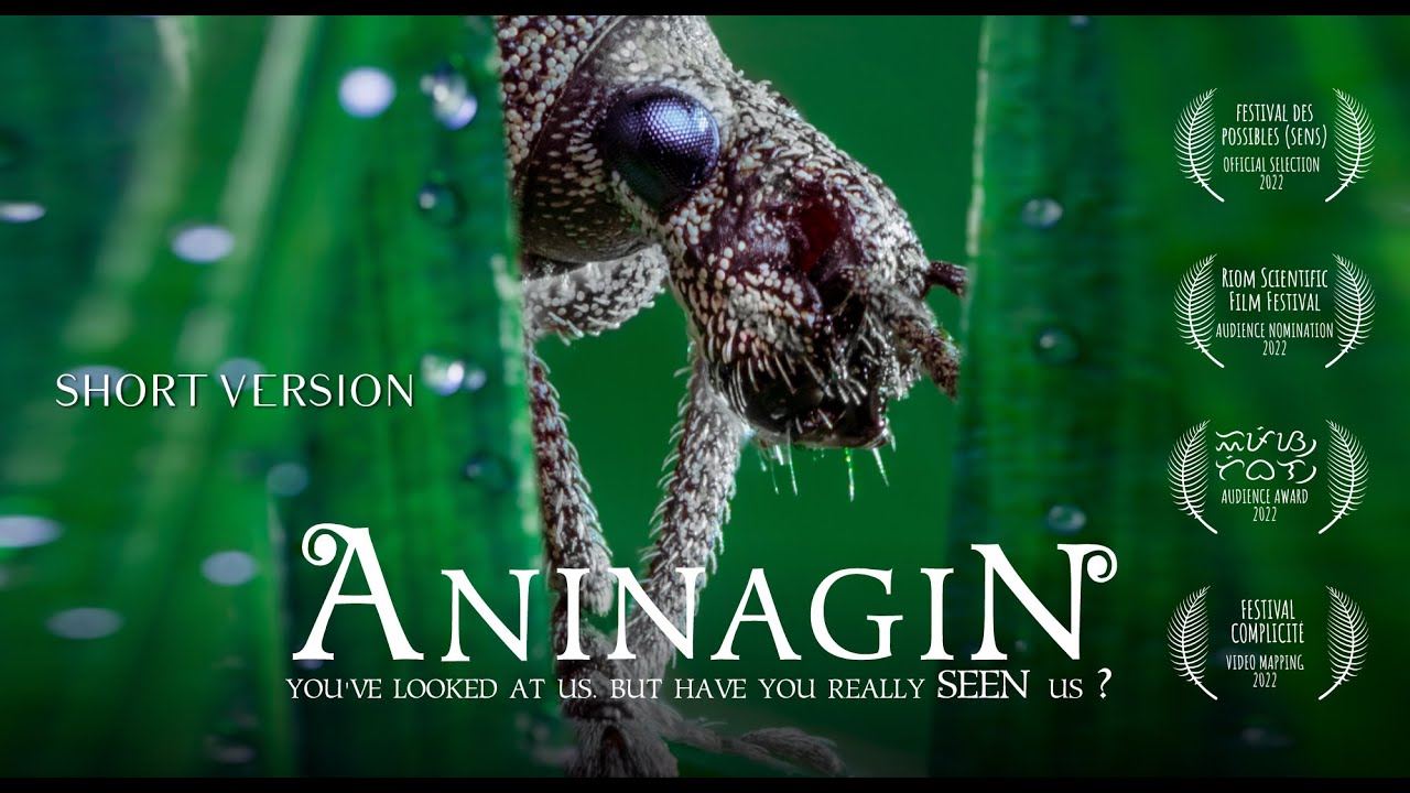 AninagiN 🪲 The insects movie with only sounds | Short version (29mn) l Free watch