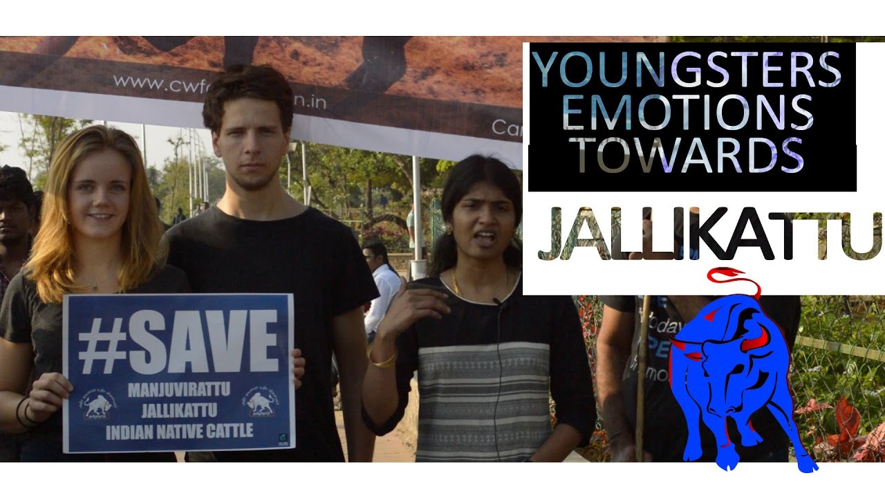 YOUNGSTERS EMOTIONS | SAVE JALLIKATTU | SUNDAY MARINA |