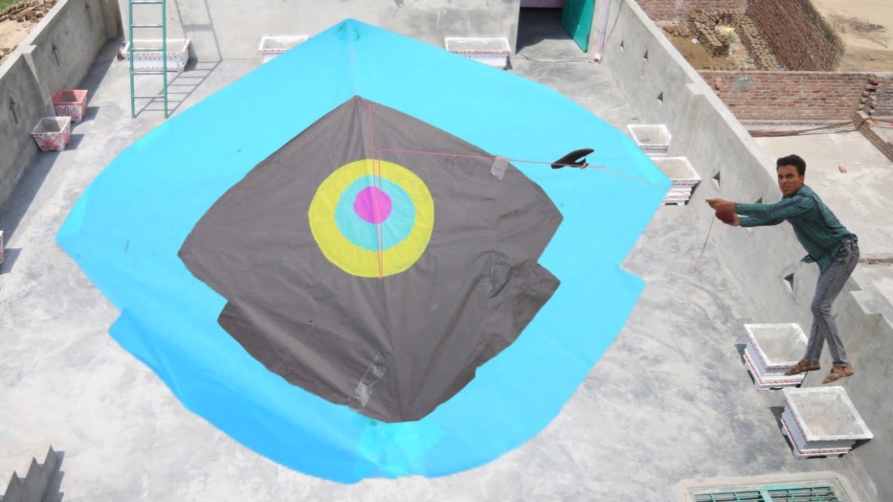 Cutting Big Sharle Kite Catch Vs Plasticbag Kite