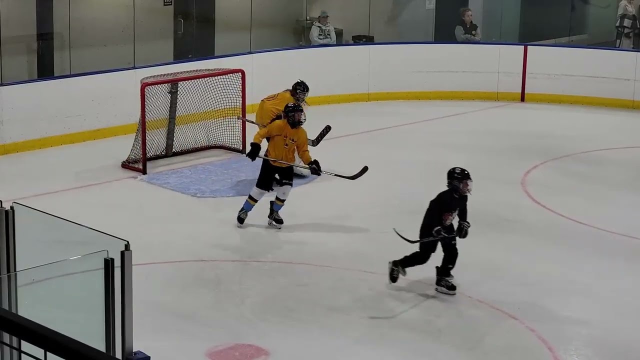 summer 25 highlights