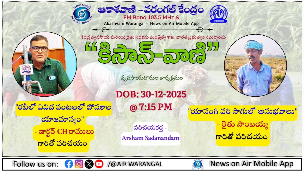 KISAN-VANI | 30-12-2025 | Management in Various Rabi Crops | Yasangi Paddy Cultivation AIR WGL 103.5