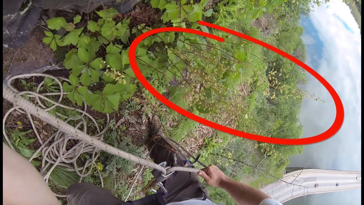 Rappelling Scientists Find Rare Species Hiding for 100+ Years | Plants Are Cool, Too!