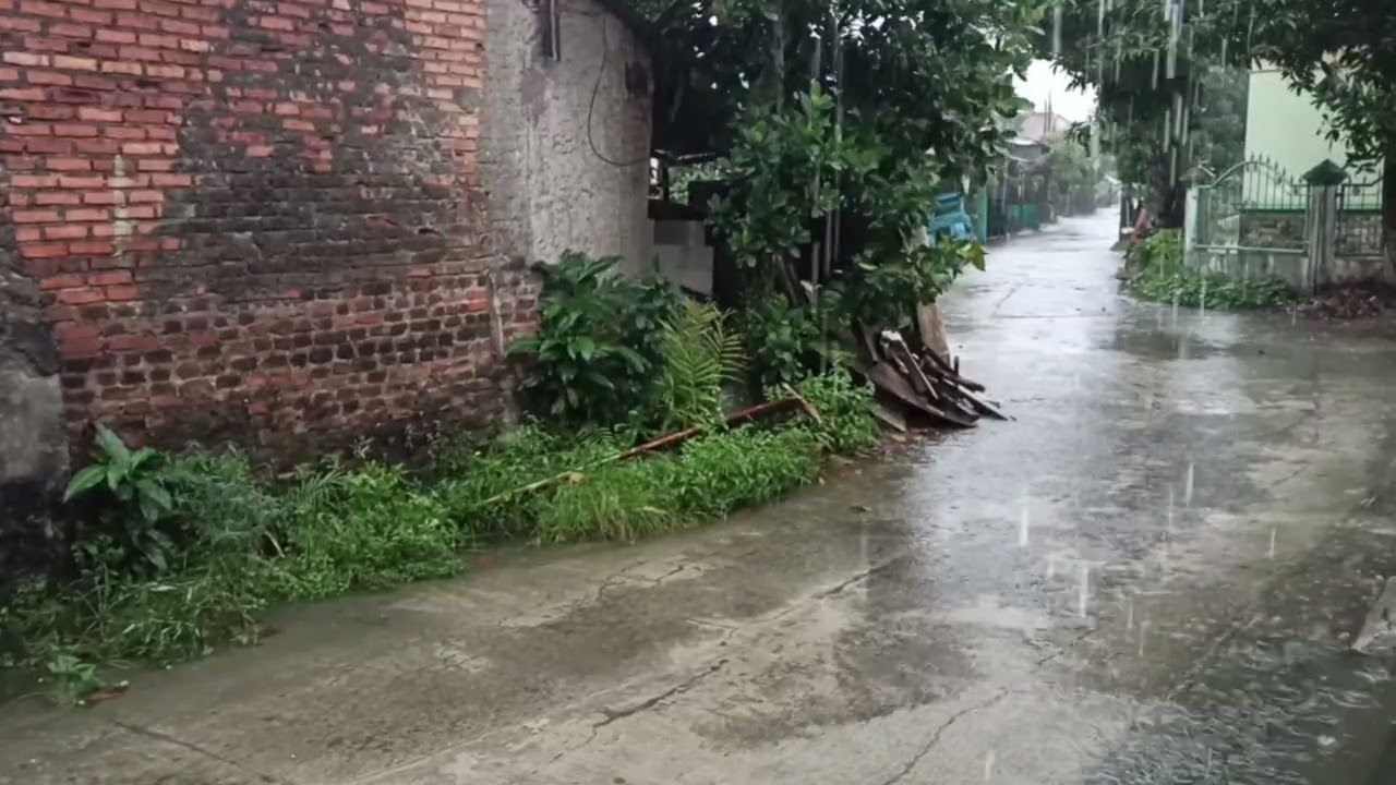Rain Sounds for Sleep – Heavy Rain Ambience at Night (8 Hours, No Thunder)