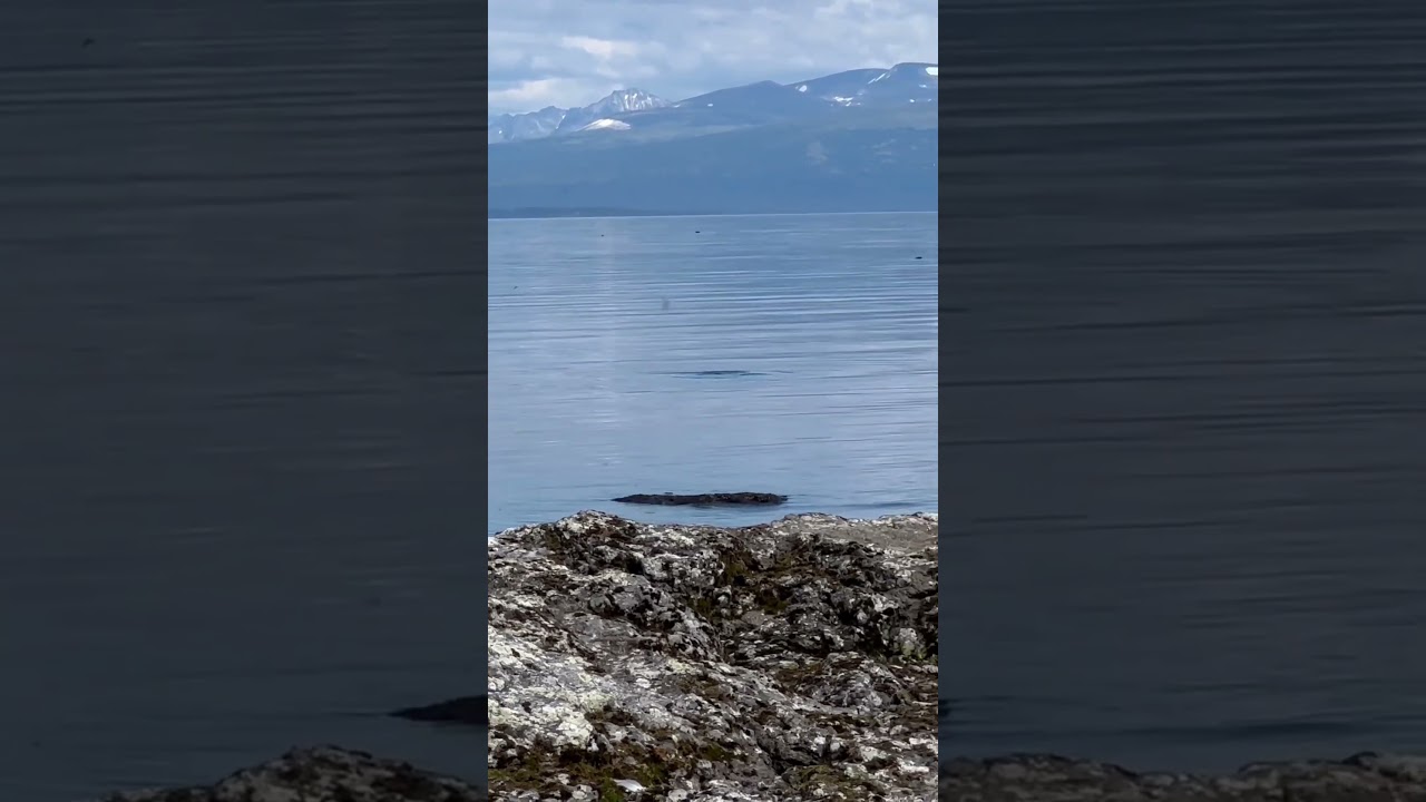 #lakemonster