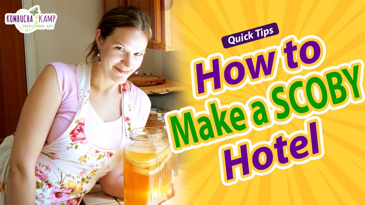 How to Make a SCOBY Hotel - Quick Tips || Kombucha Kamp - Hannah Crum