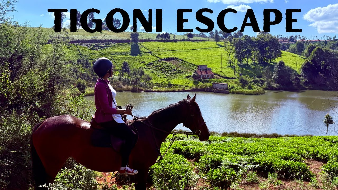 DISCOVER TIGONI|KAWAMWAKI FARM ADVENTURE