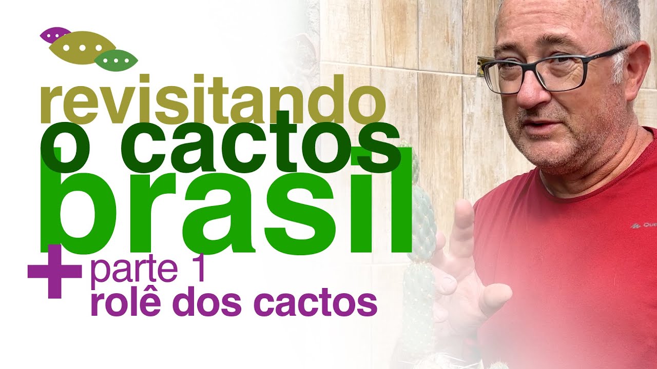 Variedades de Cactos Raros - Revisitando o Cactos Brasil - Parte 1 | Invasão Plantóide do Flay