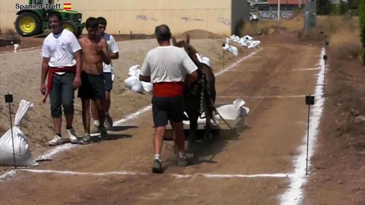Pferde Lastenziehen - Tiro y arrastre - Horse pulling - Zugpferde-Lastenschleppen