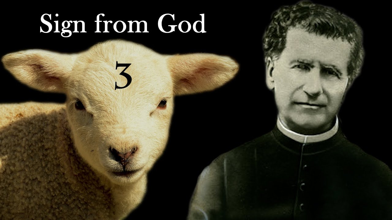 3 Great Famines That Come From Sin: St. John Bosco | Ep. 41