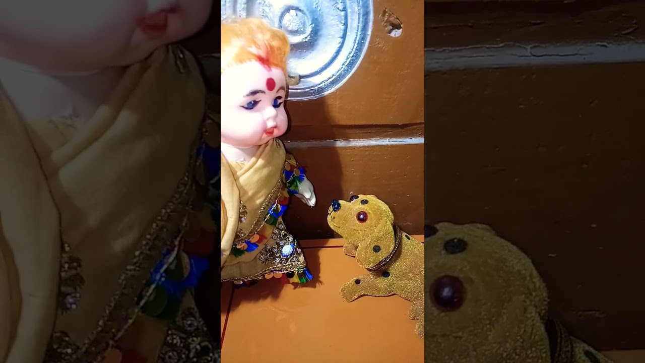 #tu chaudhari hai 🐶 🐶 #short # dog #gending # viral # dog # yt short vedio