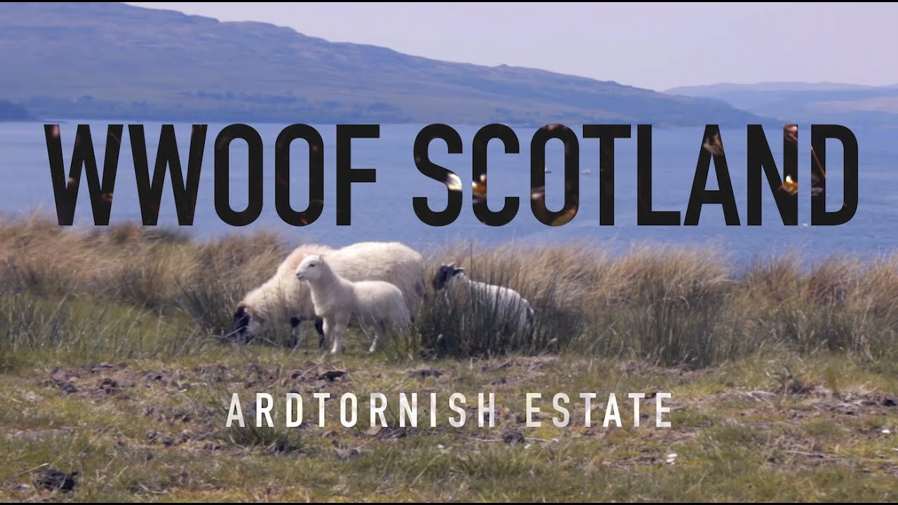 WWOOF Scotland: Ardtornish Estate