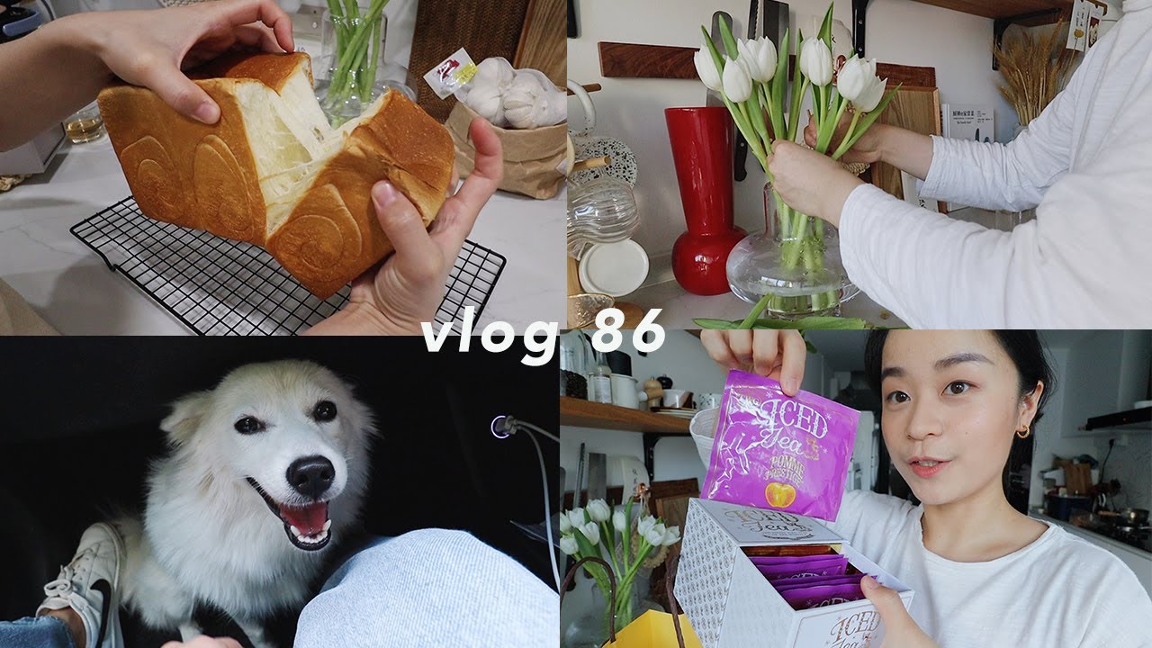 VLOG 86 | 新买的茶叶和茶壶🍃 | 整理厨房 | 三文鱼拌饭🍣 | 手揉奶油吐司🍞 | 白色郁金香 | 皮皮交朋友 | 新加坡生活日常 | Belinda Chen
