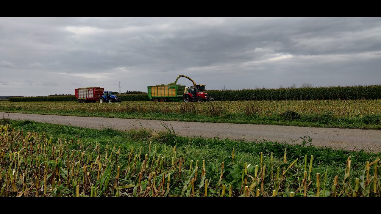 Bejstrup Maskinstation | Krone Big X800 | Majs |