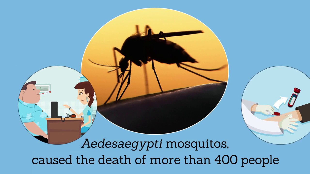 Healthful Tips: Yellow Fever & The Vaccine Shortage | e7 Health