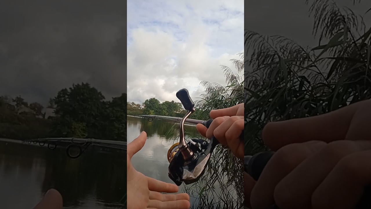 Brak brań i aktywności ryb przez brak tlenu w wodzie.Wakacje dały się we znaki .