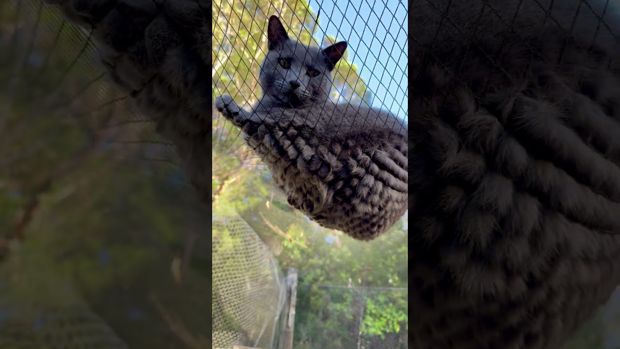 Careful-Sweetheart spent all night on the net!! 